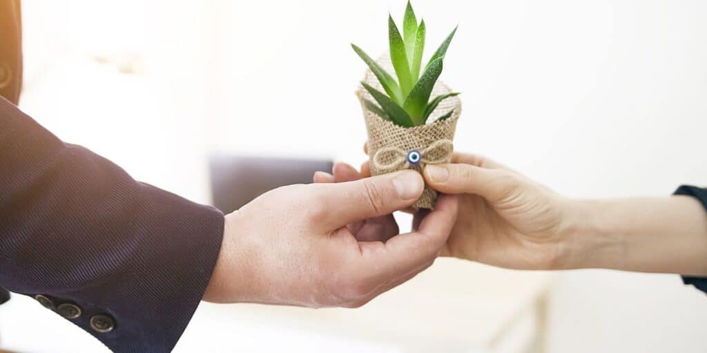 Person handing a small potted plant to another person as a closing gift