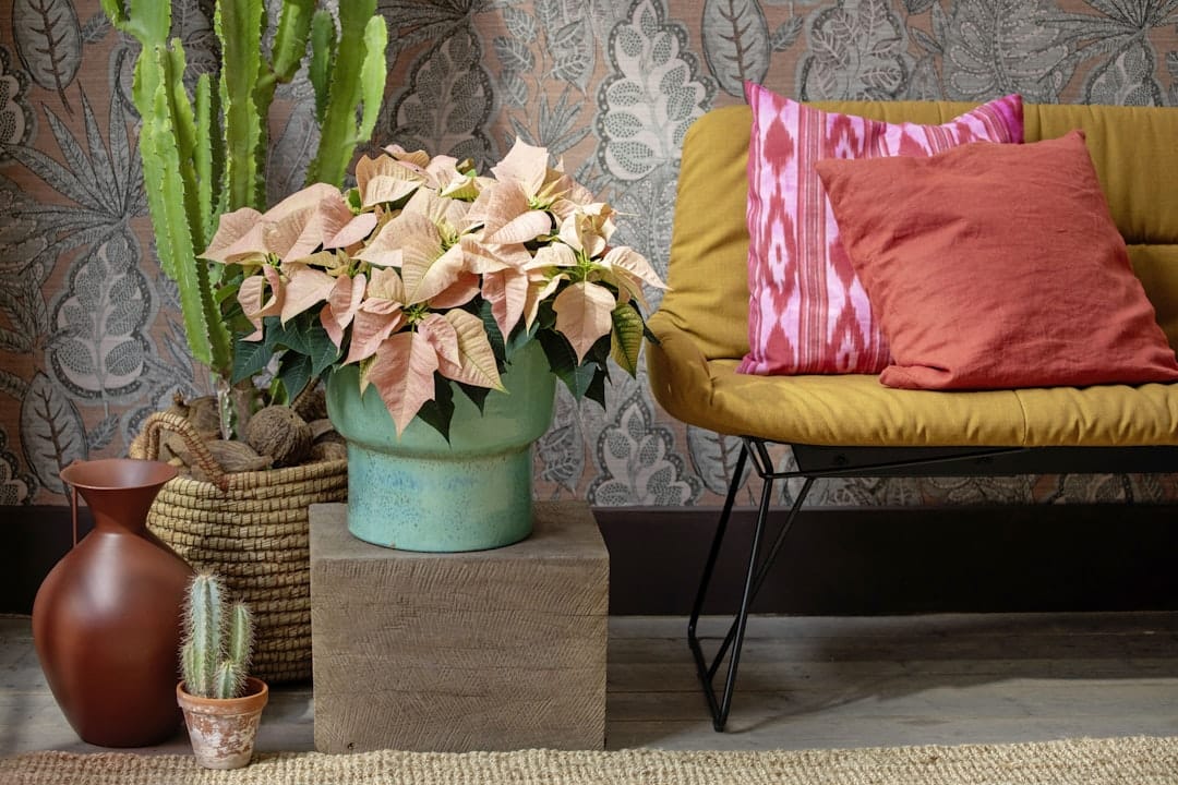 Stylish home furniture arrangement