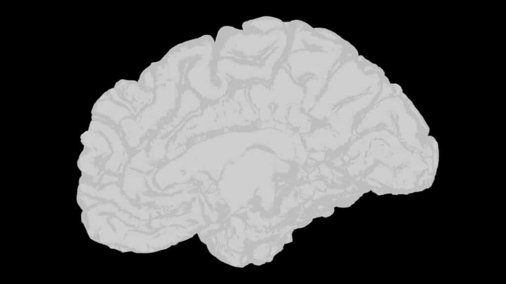 Abstract image of an AI brain, representing advanced technology in business.