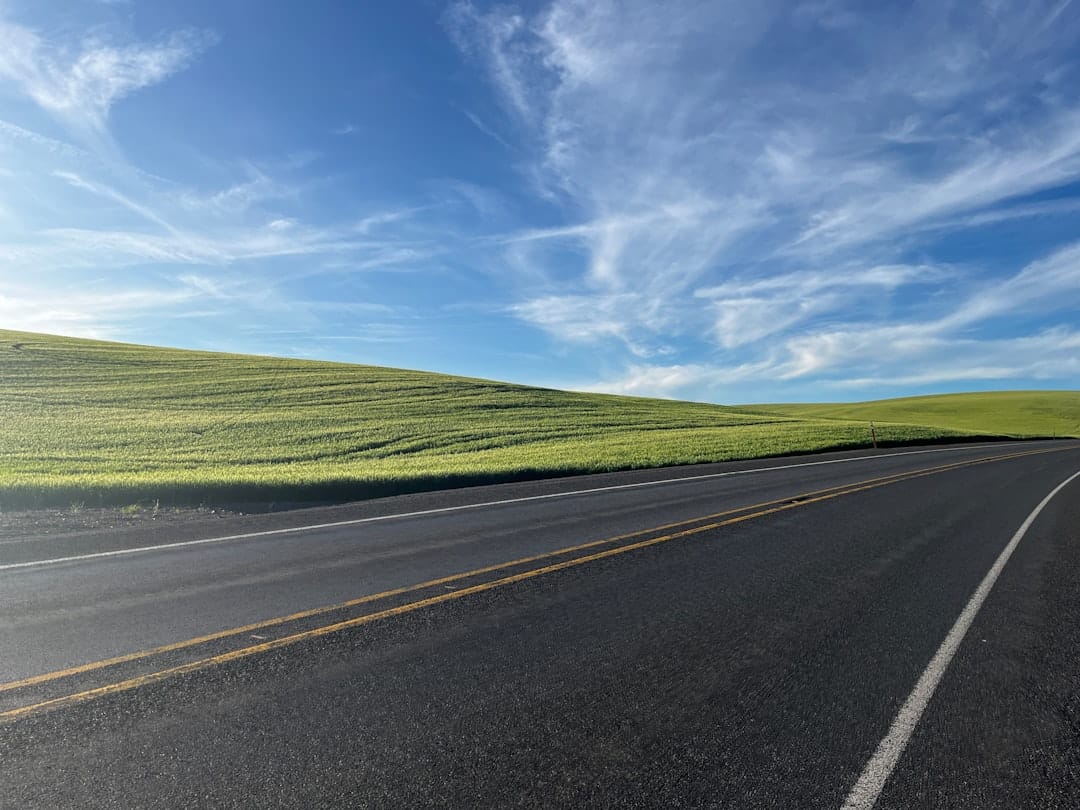 A clean, modern road curves towards a bright horizon, symbolizing a clear path for navigating future changes in organic search ranking.