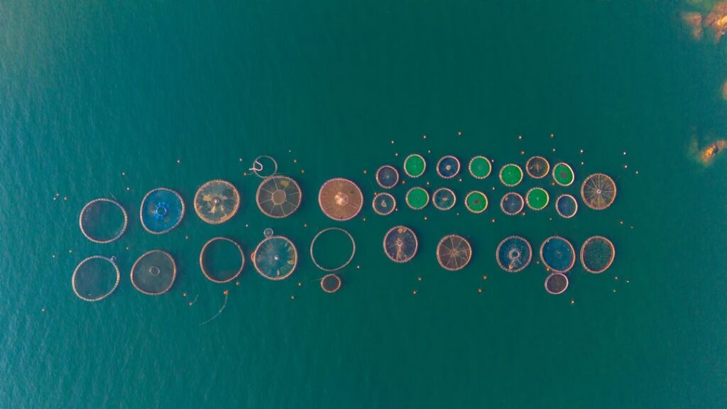 Dramatic, cinematically lit photo of a chessboard with several fallen pieces, symbolizing a major shift in strategy and th...